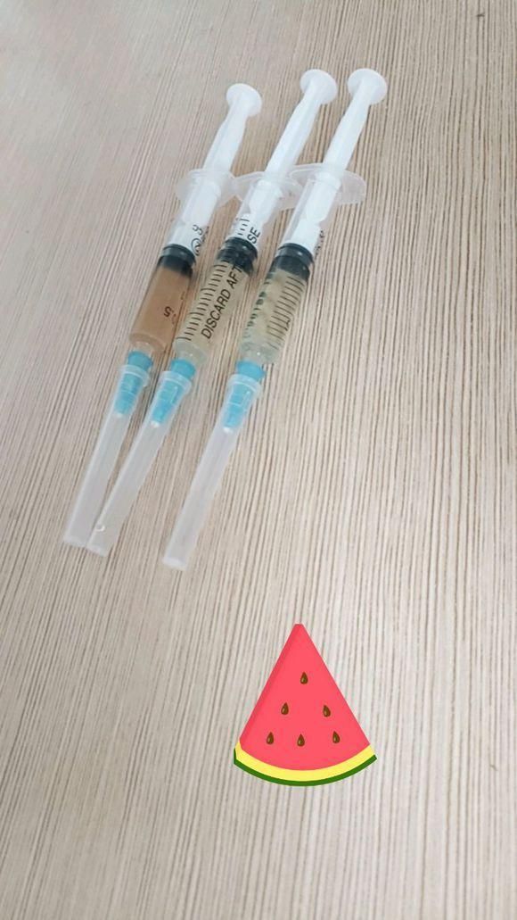 刚买的柯基检测有犬瘟，本可以换一只活泼的，但主人做法让人暖心