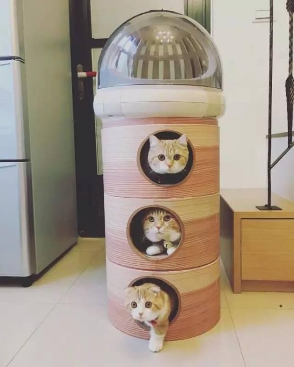 对，这肯定是一家三口！