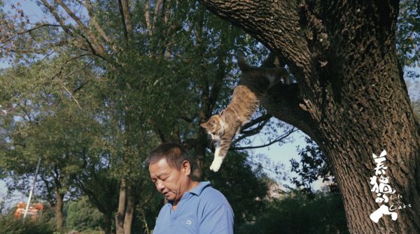 “卡车猫王”王天军和爱猫福宝