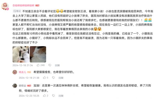 在哔哩哔哩平台《卡车猫王》单集的评论区，网友给王叔留言