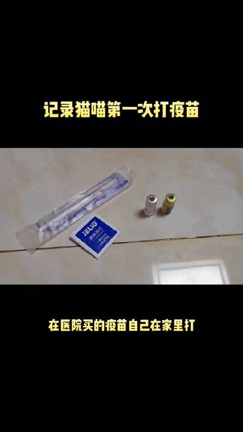 记录猫咪第一次打疫苗