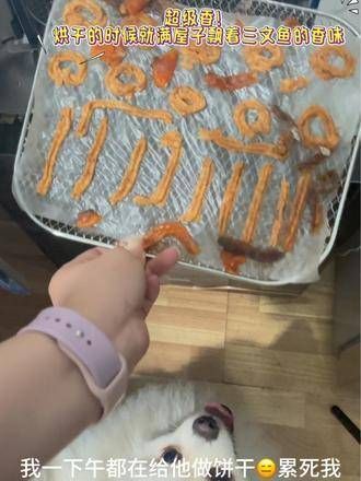 自制宠物零食中的三文鱼饼干，味道香浓无比，他十分喜爱！