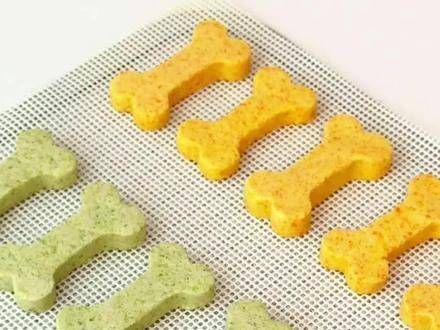 挑战自制100种宠物零食|2️⃣1️⃣三色骨头饼干让狗狗吃得开心又满足!