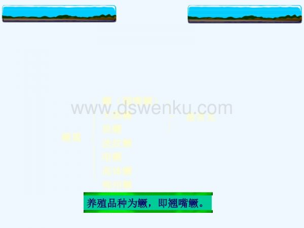 鱼类养殖.PPT.ppt_第4页