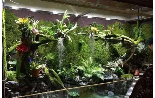 微型雨林缸直销商,雨林缸