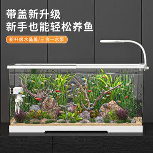 最萌鱼缸小型生态家用客厅水草造景过滤一体成型防爆龟缸