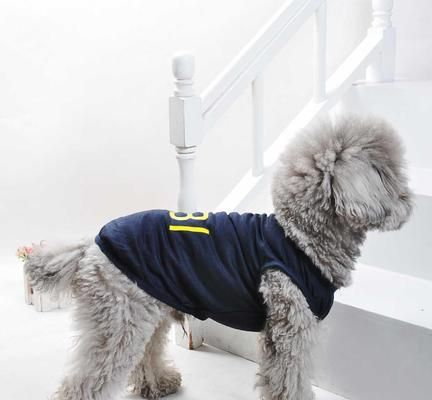 如何选择宠物狗的合适衣服（以小狗10号衣服为例）