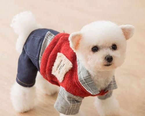 如何选择宠物狗的合适衣服（以小狗10号衣服为例）