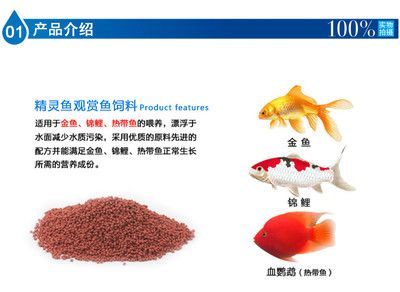 鱼缸水质维护技巧分享：鱼缸水质维护技巧分享（细菌培养） 龙鱼疾病与治疗 第3张