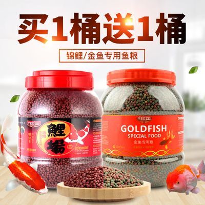 鱼缸水质维护技巧分享：鱼缸水质维护技巧分享（细菌培养） 龙鱼疾病与治疗 第5张