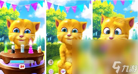 猫咪玩的触屏游戏推荐 和小猫一起玩的游戏分享2023