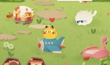 猫馆探秘攻略:必看猫咪乐园玩法指南