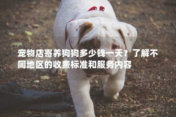 宠物店寄养狗狗多少钱一天？了解不同地区的收费标准和服务内容