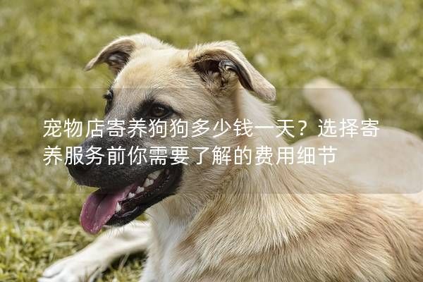 宠物店寄养狗狗多少钱一天？选择寄养服务前你需要了解的费用细节