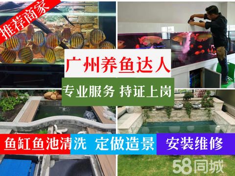 广州养鱼达人商贸有限公司·专业上门清洗鱼缸鱼缸护理清理鱼池定做鱼缸海鲜池维修鱼缸十余年