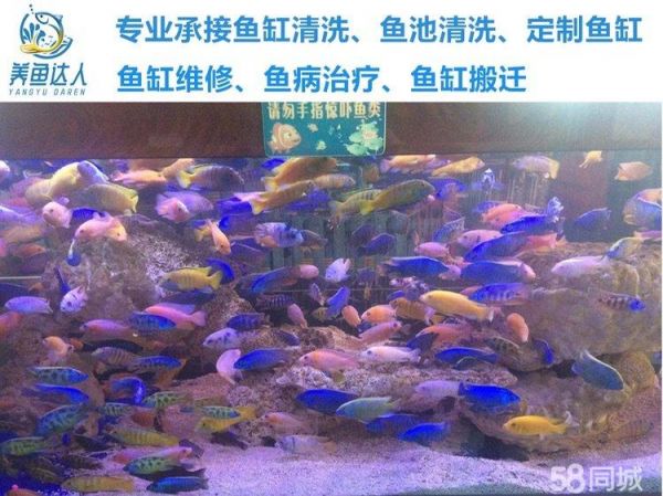 店主头像