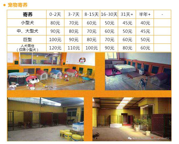 天津宠物狗寄养 东方名仕 宠物狗寄养哪家好