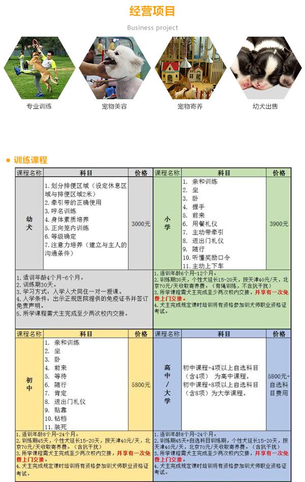 天津宠物狗寄养 东方名仕 宠物狗寄养哪家好