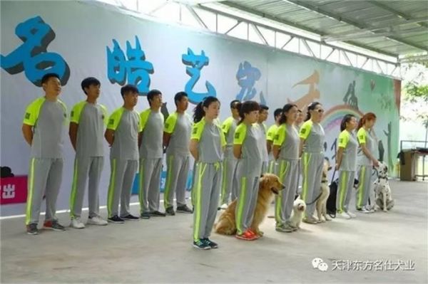 天津宠物狗寄养 东方名仕 宠物狗寄养哪家好