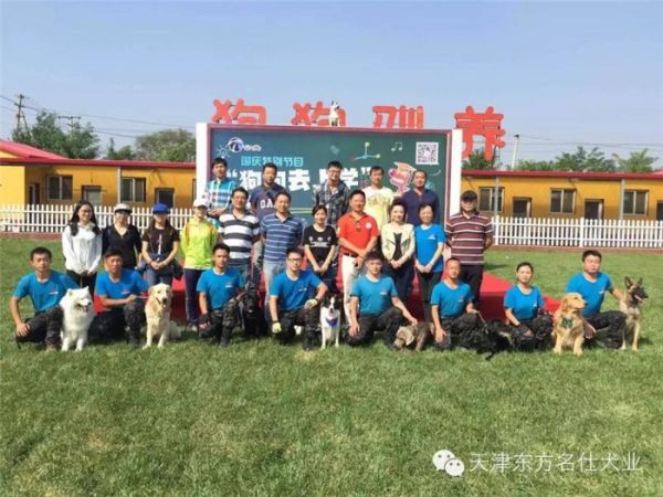 天津宠物狗寄养 东方名仕 宠物狗寄养哪家好