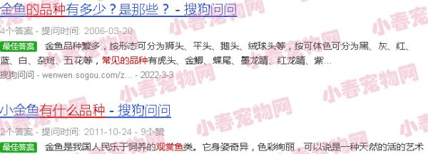 宠物观赏鱼有哪些常见的品种