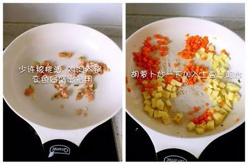 宠物营养食谱揭秘