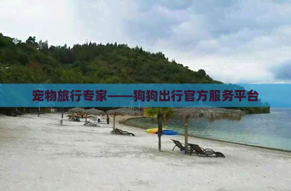 宠物旅行专家——狗狗出行官方服务平台