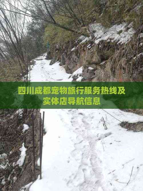 四川成都宠物旅行服务热线及实体店导航信息