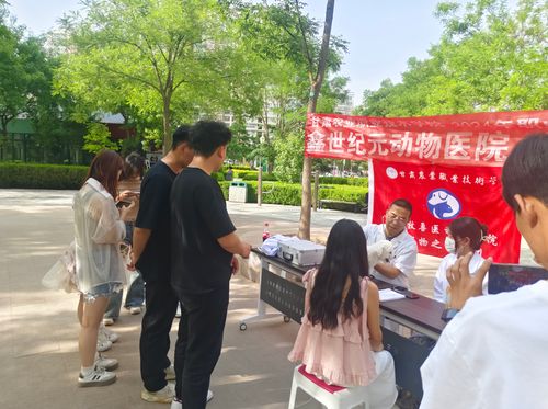 图--3.png