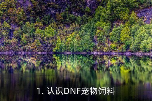 1. 认识DNF宠物饲料