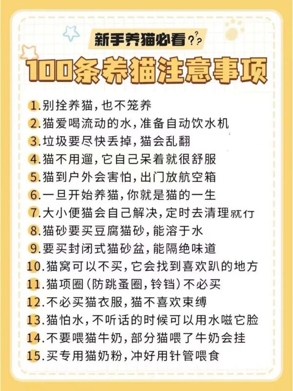 养宠物猫忌讳：养宠物猫须知
