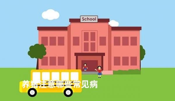 养猪注意哪些常见病