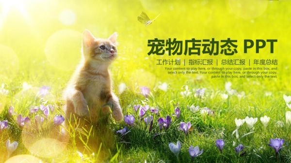 萌宠宠物店宠物美容工作总结汇报动态PPT模板1