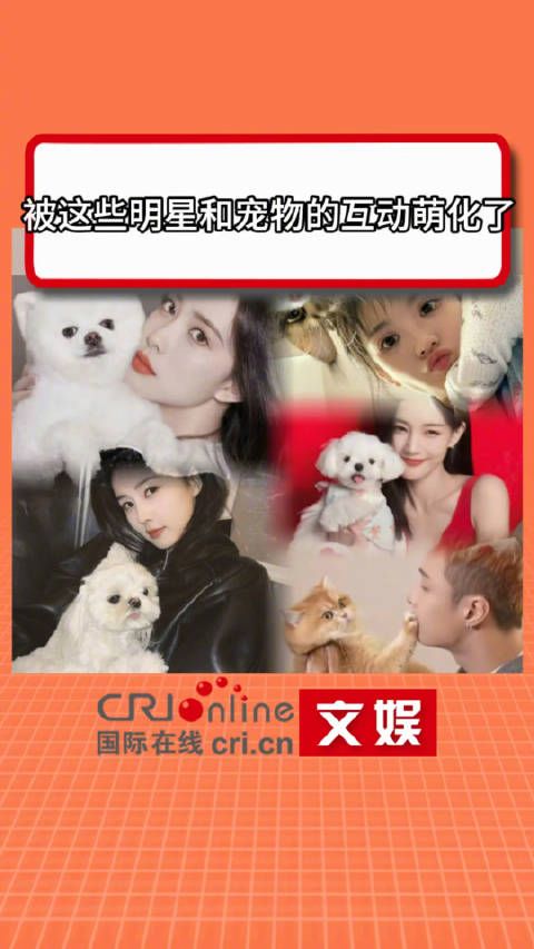 被这些明星和宠物的互动萌化了