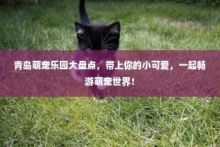青岛萌宠乐园大盘点，带上你的小可爱，一起畅游萌宠世界！