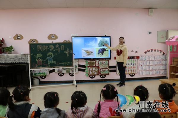 认识各种鸟儿.JPG