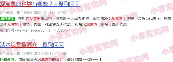 观赏鱼种类介绍