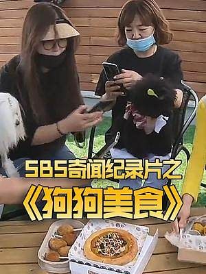 人不如狗！宠物美食家专门给狗做各种美食，还专门研究各类菜谱！ #奇闻奇事 #迷惑行为大赏 #纪录片 