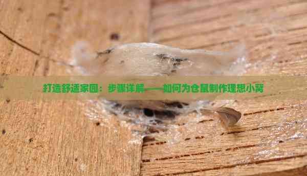 打造舒适家园：步骤详解——如何为仓鼠制作理想小窝