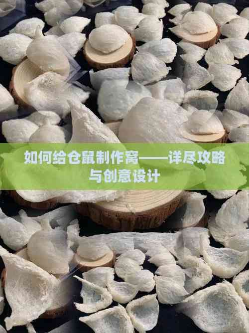 如何给仓鼠制作窝——详尽攻略与创意设计