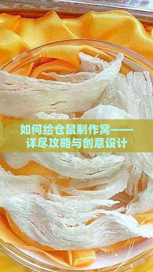 如何给仓鼠制作窝——详尽攻略与创意设计