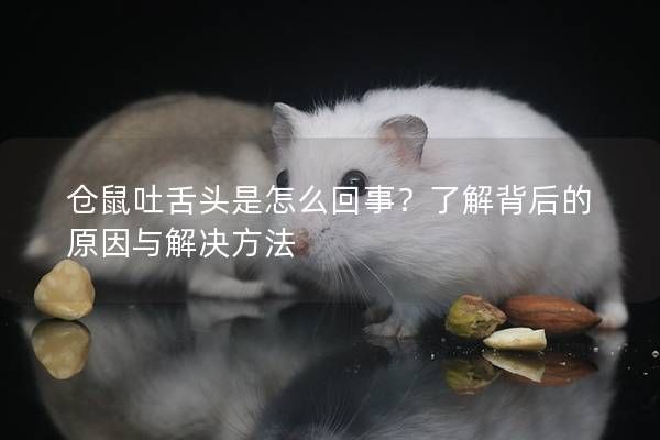 仓鼠吐舌头是怎么回事？了解背后的原因与解决方法