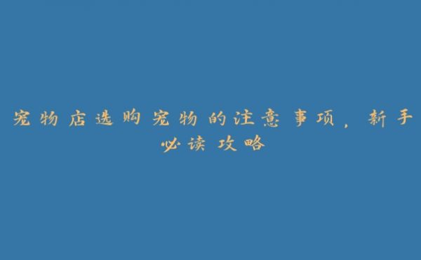 宠物店选购宠物的注意事项,新手必读攻略