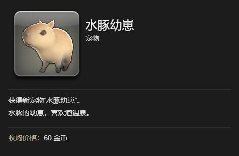 最终幻想14水晶世界水豚幼崽怎么获得 水豚幼崽获得方法图5