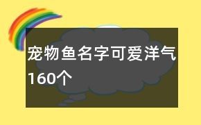 宠物鱼名字可爱洋气160个