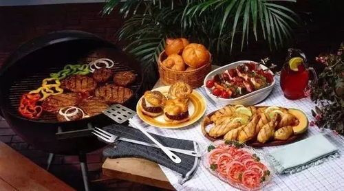 宠物饮食搭配,防食物中毒,选对食物是关键。