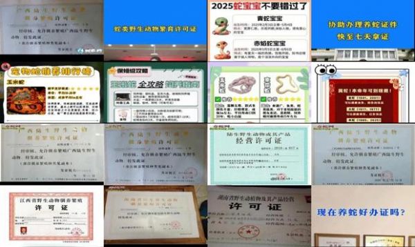 养蛇需要办理什么证