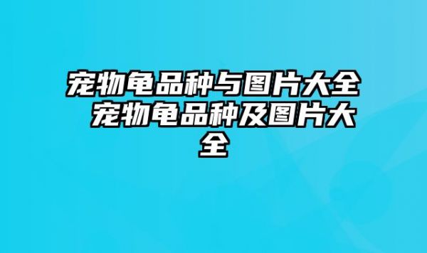 宠物龟品种与图片大全 宠物龟品种及图片大全