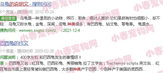 宠物龟的种类的说明文