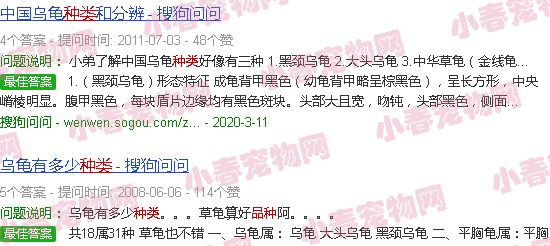 宠物龟种类大全图解